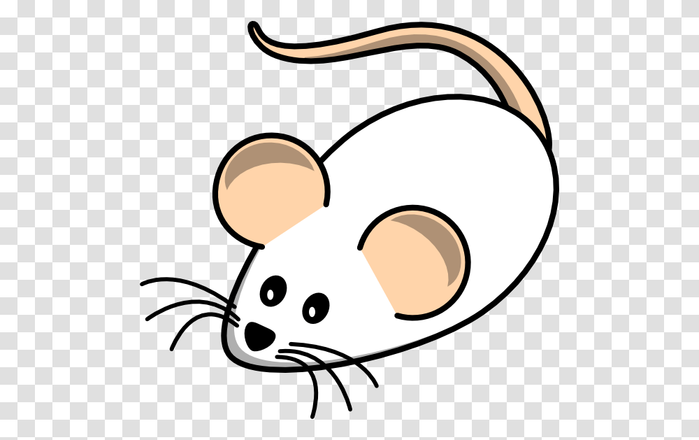 Clip Art White Mouse, Label, Animal, Mammal Transparent Png