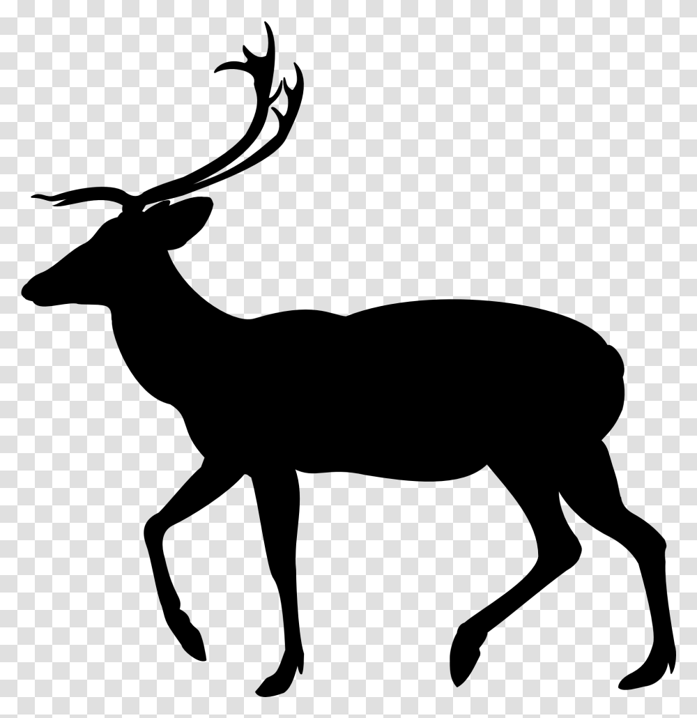 Clip Art White Tailed Deer Silhouette Moose Deer, Gray, World Of Warcraft Transparent Png