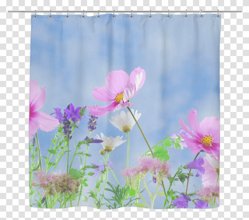 Clip Art Wild Flowers, Curtain, Plant, Blossom, Shower Curtain Transparent Png