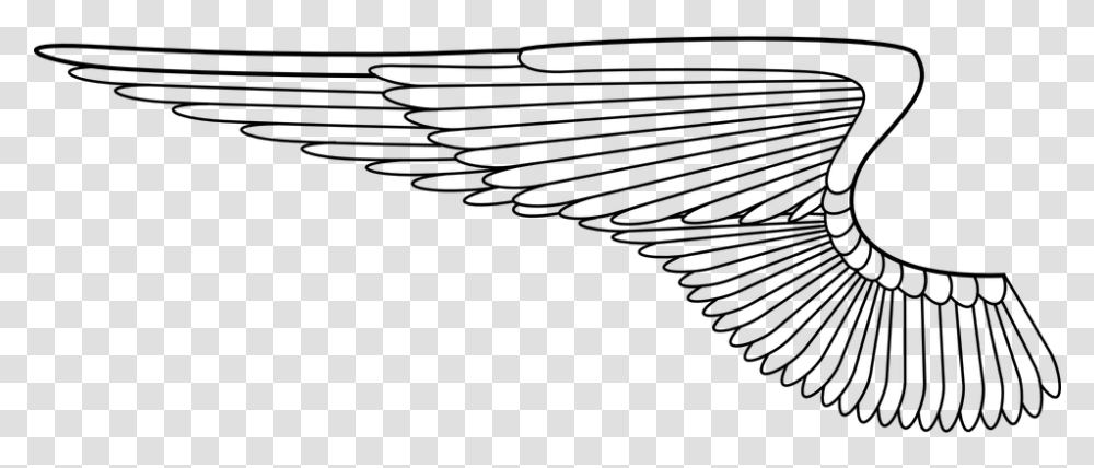 Clip Art Wings Background, Gray, World Of Warcraft Transparent Png