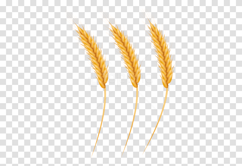 Clip Art With A Background Wheat, Plant, Vegetable, Food, Bow Transparent Png