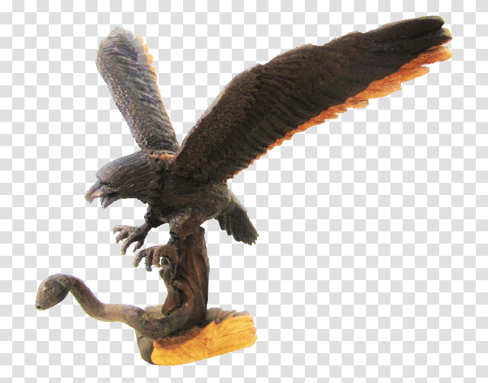 Clip Art With Golden Eagle, Bird, Animal, Hawk, Flying Transparent Png