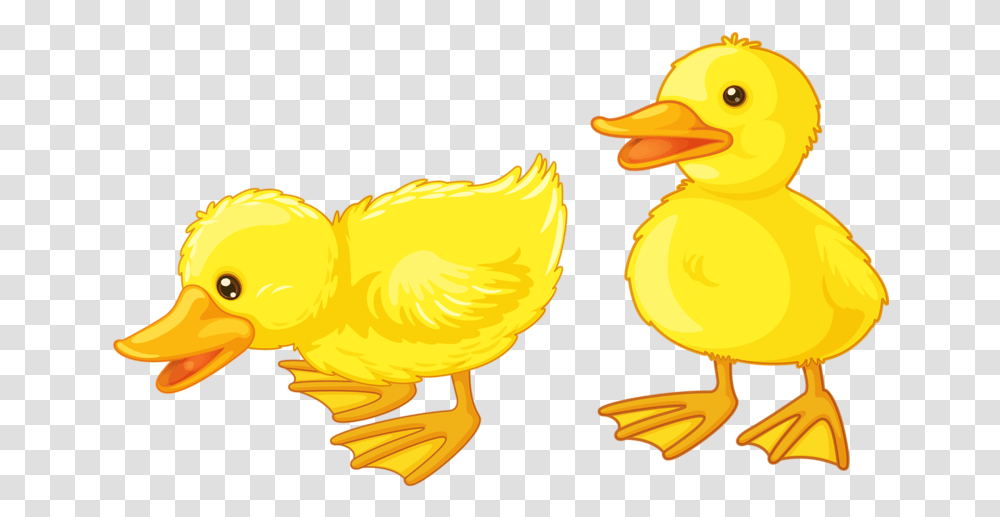 Clip Art Yellow Duck, Animal, Bird, Fowl, Poultry Transparent Png