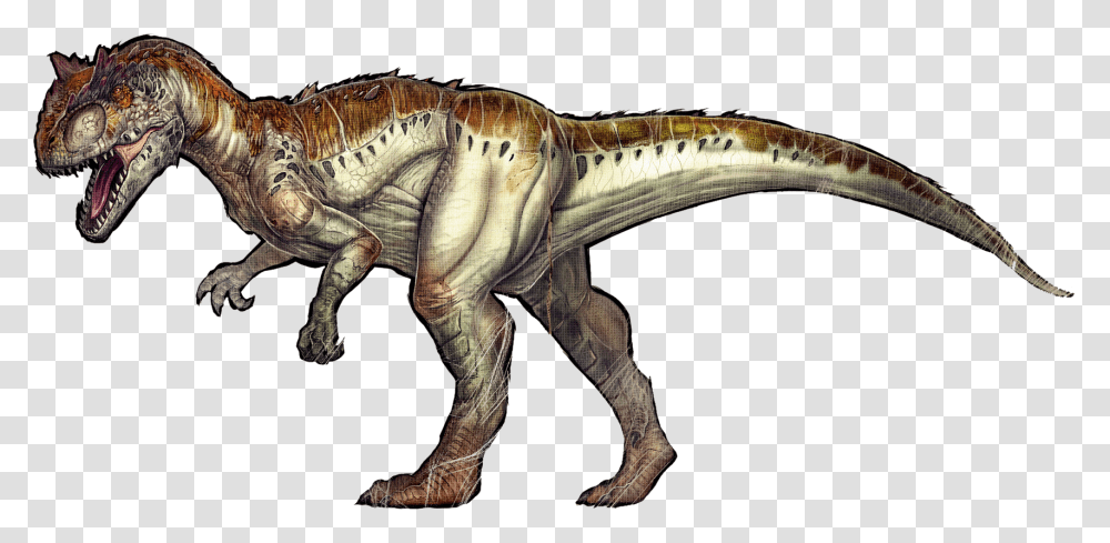 Clip Black And White Allosaurus Survival Evolved Carnotaurus Ark Survival Evolved Allosaurus, Dinosaur, Reptile, Animal, T-Rex Transparent Png