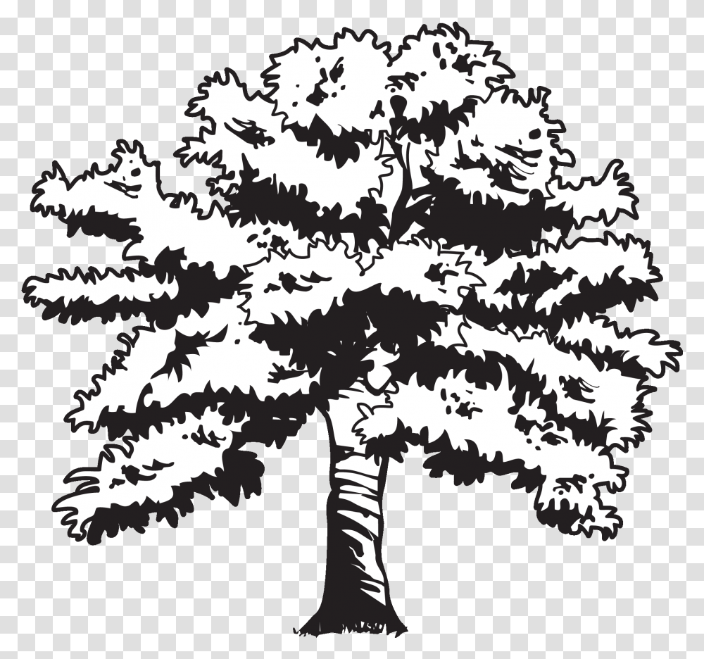 Clip Black And White Library Oak At Getdrawings Com Oak Tree Drawing, Plant, Leaf, Maple Transparent Png