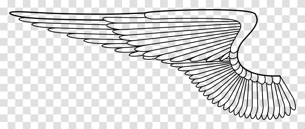 Clip Download Wing Mitchell Johnson Si Angel Wings Vector, Gray, World Of Warcraft Transparent Png