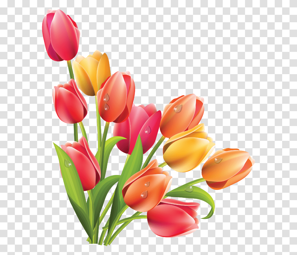 Clip Flowers Flowers Tulips Easter, Plant, Blossom, Flower Arrangement, Flower Bouquet Transparent Png