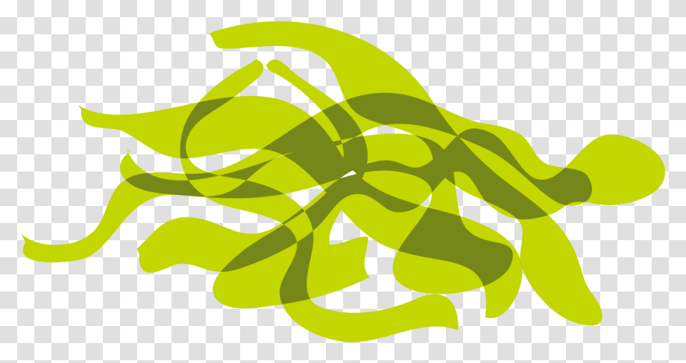 Clip Picture Kelp Graphic Design, Green, Plant, Moss, Pattern Transparent Png