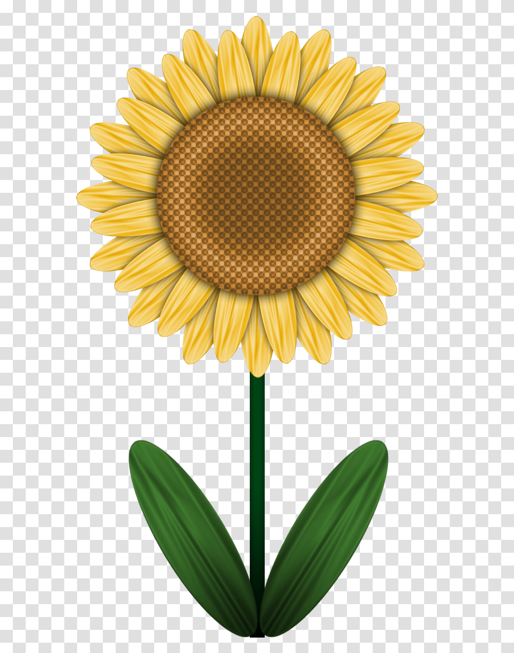 Clip Shoes Sunflower Brighton, Plant, Blossom, Daisy, Daisies Transparent Png