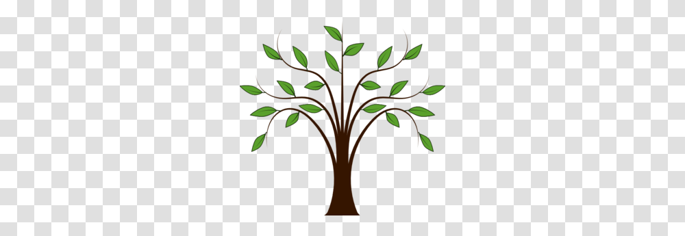 Clipart And Willow Tree, Plant, Flower, Blossom Transparent Png