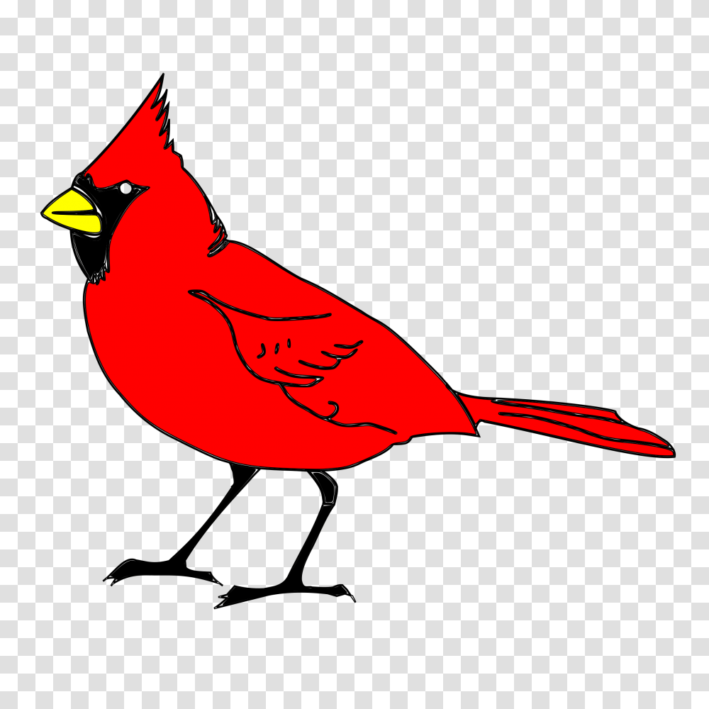 Clipart, Animal, Bird, Cardinal, Jay Transparent Png