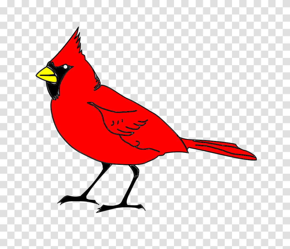 Clipart, Animal, Bird, Cardinal, Jay Transparent Png