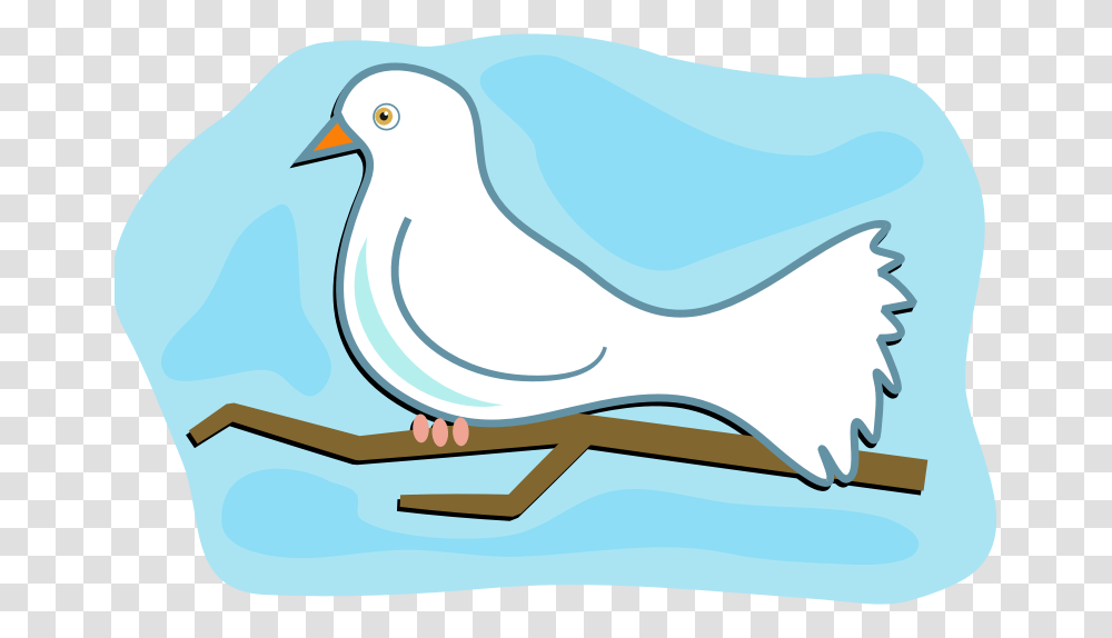 Clipart, Animal, Bird, Sunglasses, Accessories Transparent Png