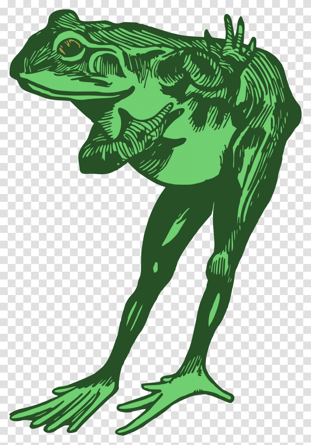 Clipart, Animal, Person, Human, Dinosaur Transparent Png