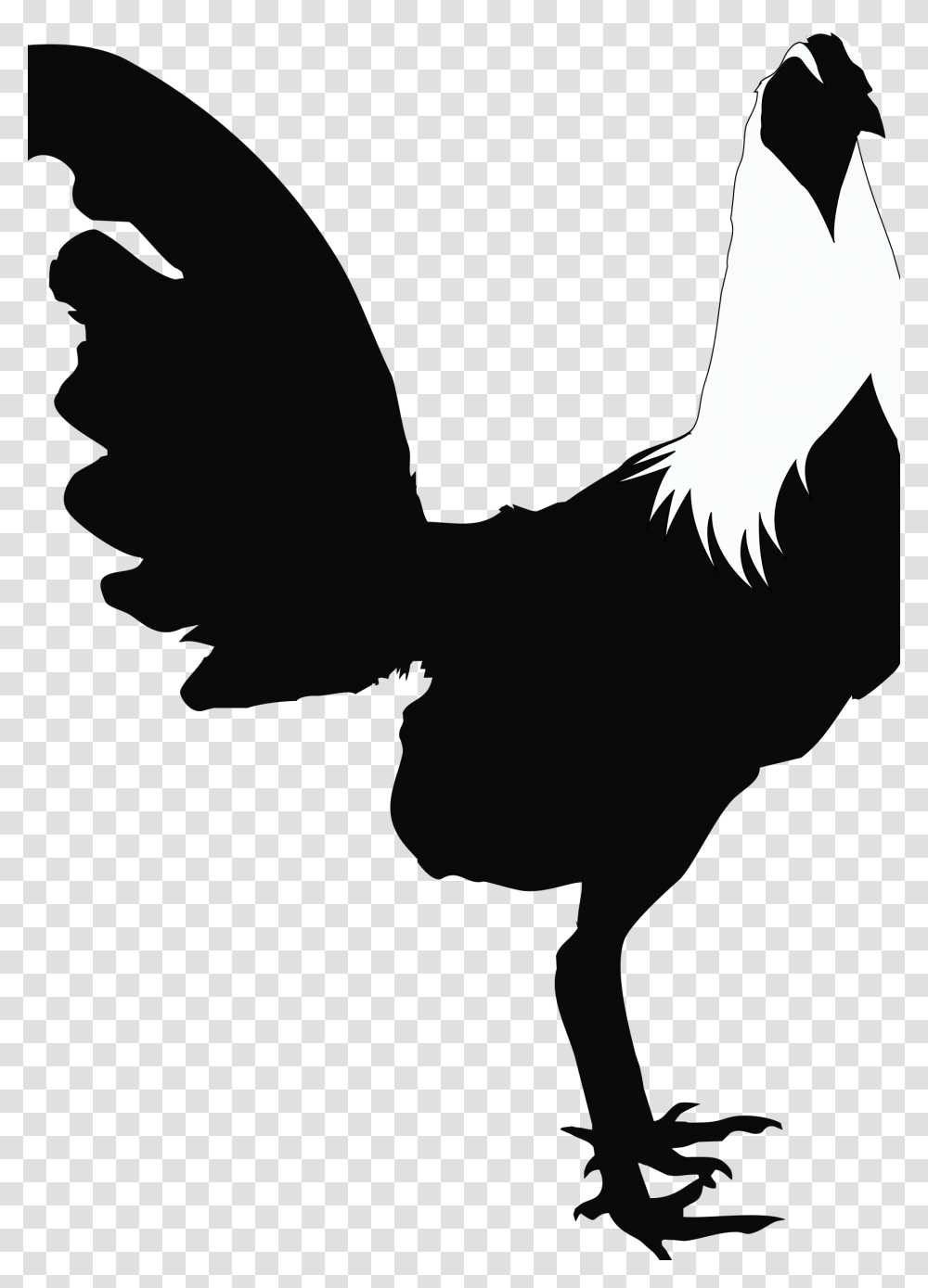 Clipart, Animal, Poultry, Fowl, Bird Transparent Png