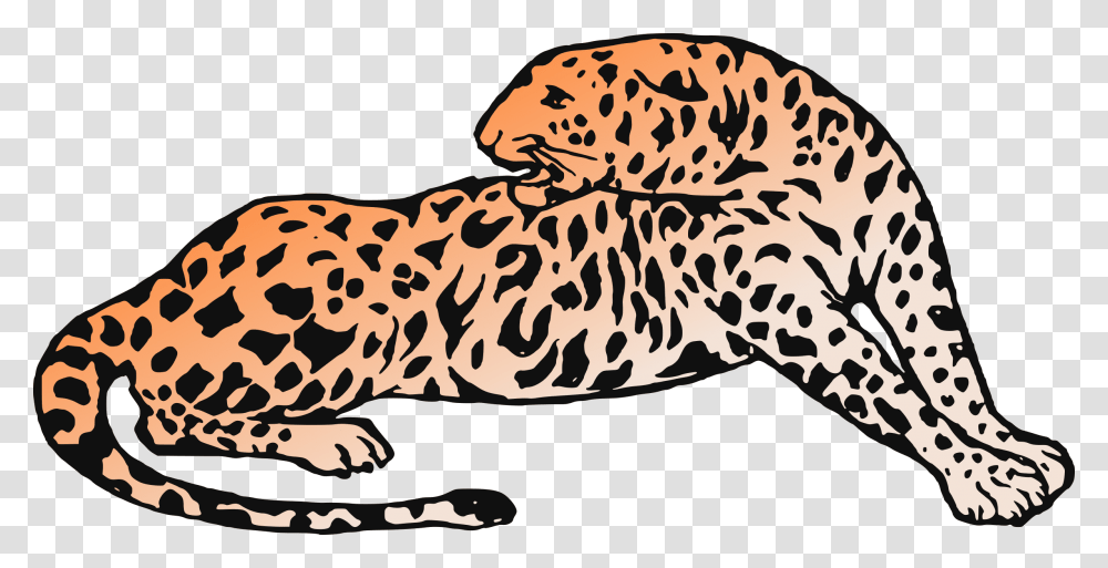 Clipart, Animal, Wildlife, Amphibian, Rug Transparent Png