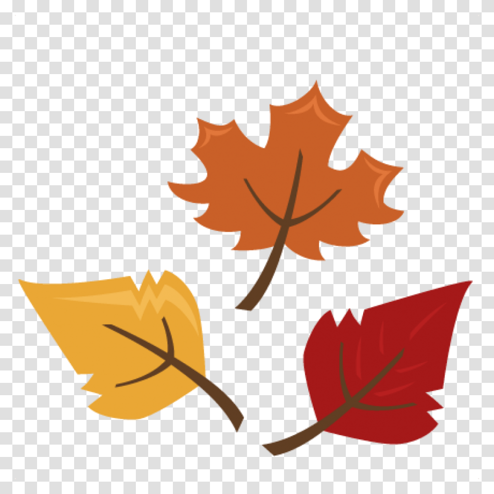 Clipart Autumn Leaves Clipartlook Clip Art Fall Leaves, Leaf, Plant, Maple Leaf, Tree Transparent Png