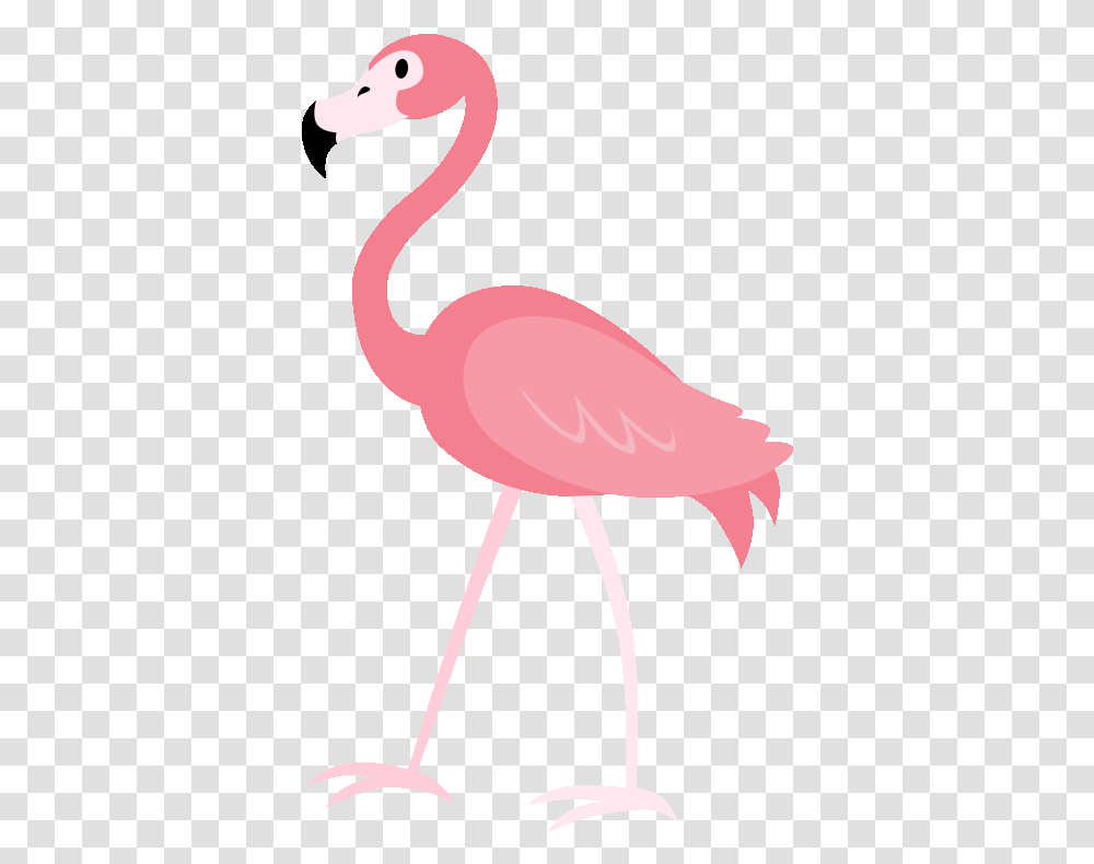 Clipart Background Flamingo Clipart Cartoon, Bird, Animal Transparent Png