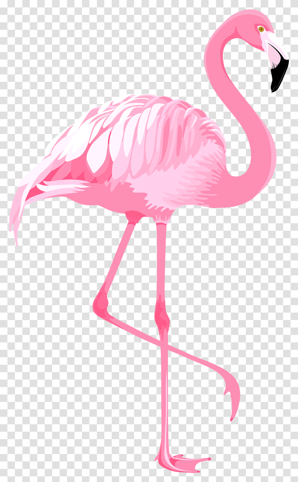 Clipart Background Images Flamingos, Bird, Animal, Lamp Transparent Png