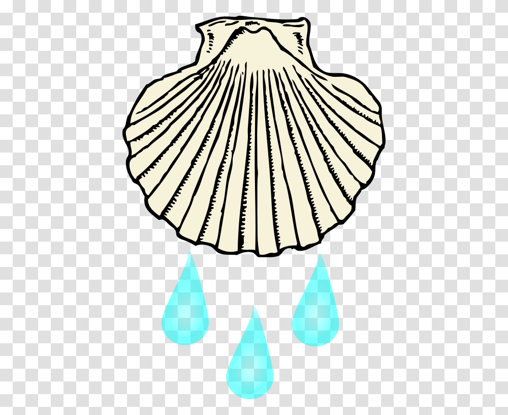 Clipart Baptism Shell Seashell Black And White Clipart, Clam, Invertebrate, Sea Life, Animal Transparent Png
