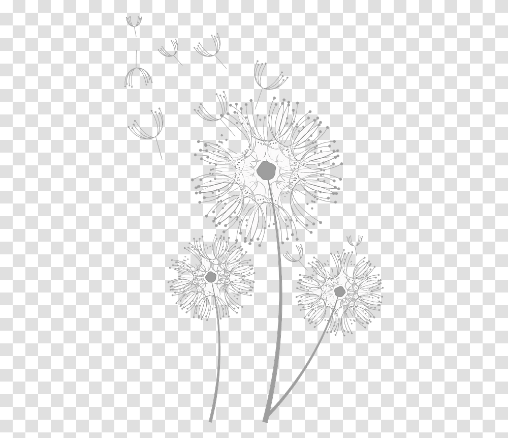 Clipart Barberton Daisy, Plant, Flower, Blossom, Dandelion Transparent Png