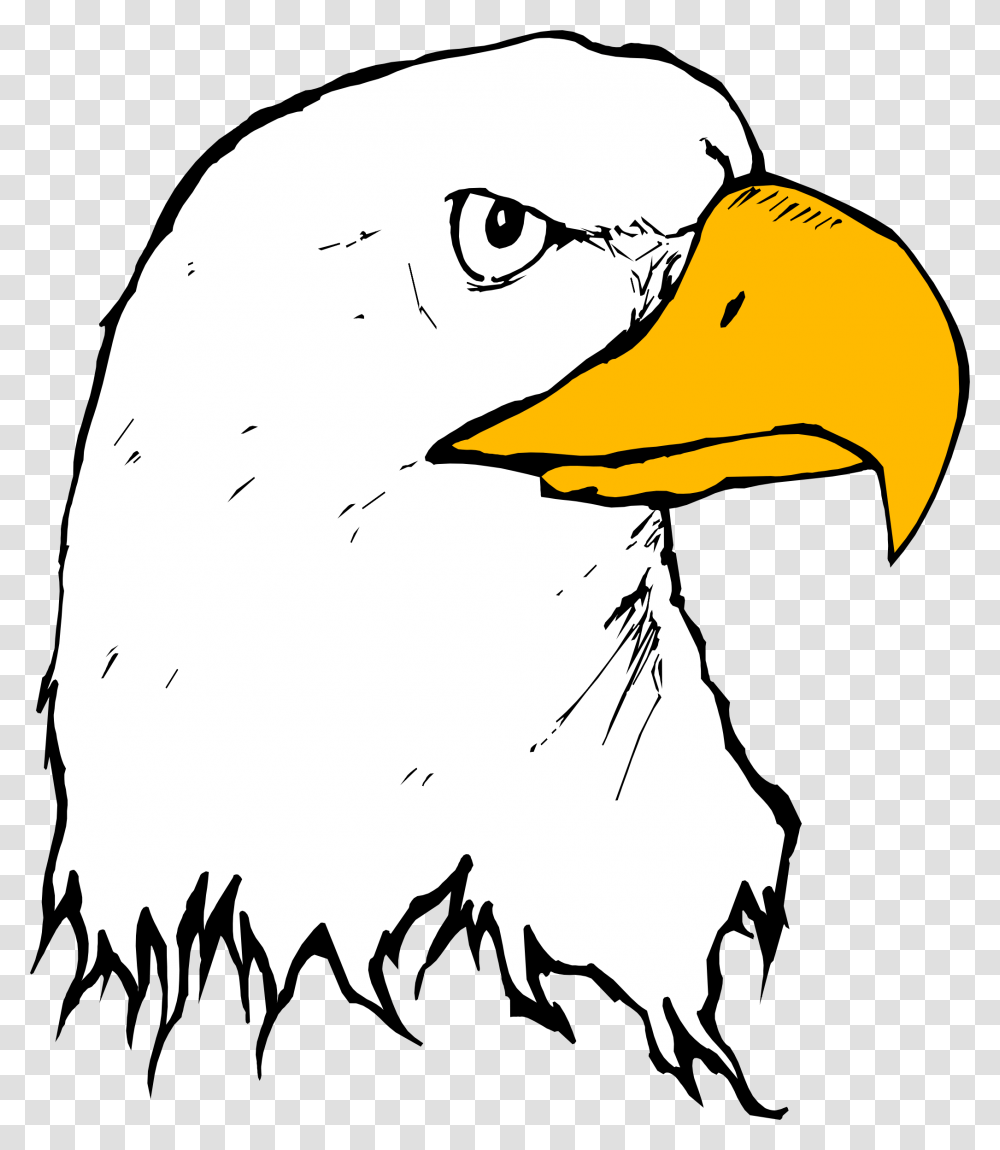 Clipart, Beak, Bird, Animal, Eagle Transparent Png