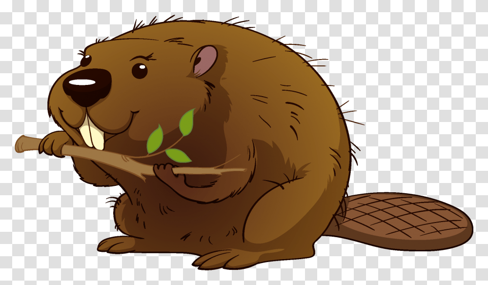 Clipart Beaver, Rodent, Mammal, Animal, Wildlife Transparent Png