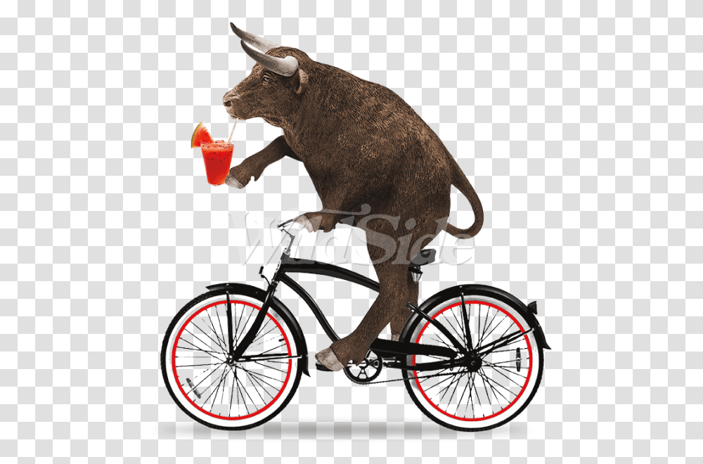 Clipart Bike Beach Cruiser Bull Riding A Bike, Bicycle, Vehicle, Transportation, Wheel Transparent Png