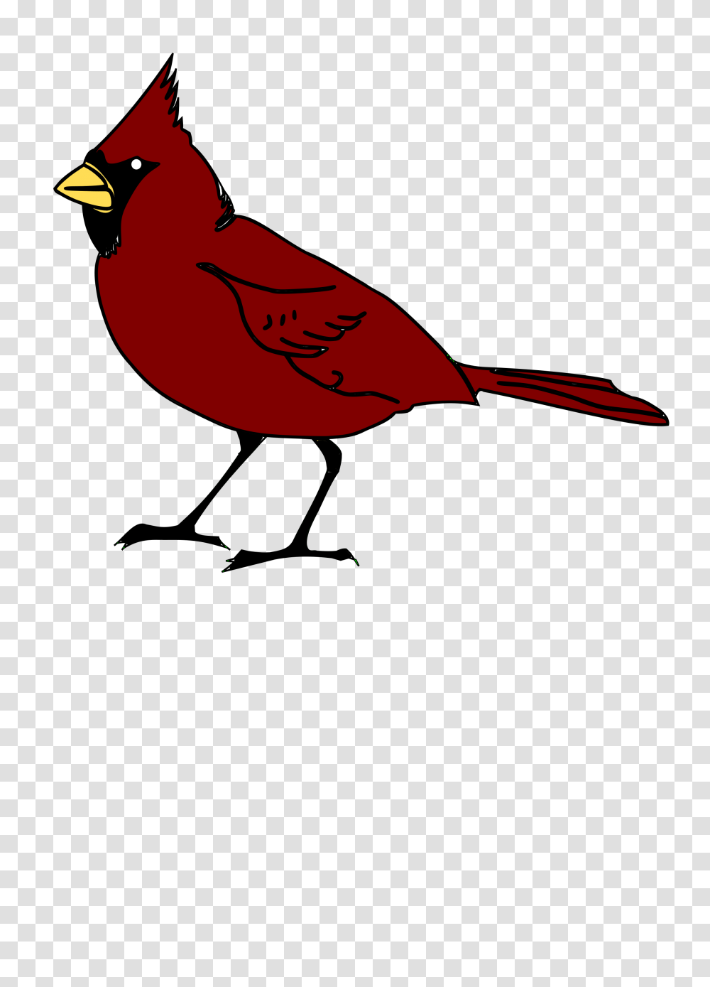 Clipart, Bird, Animal, Cardinal Transparent Png