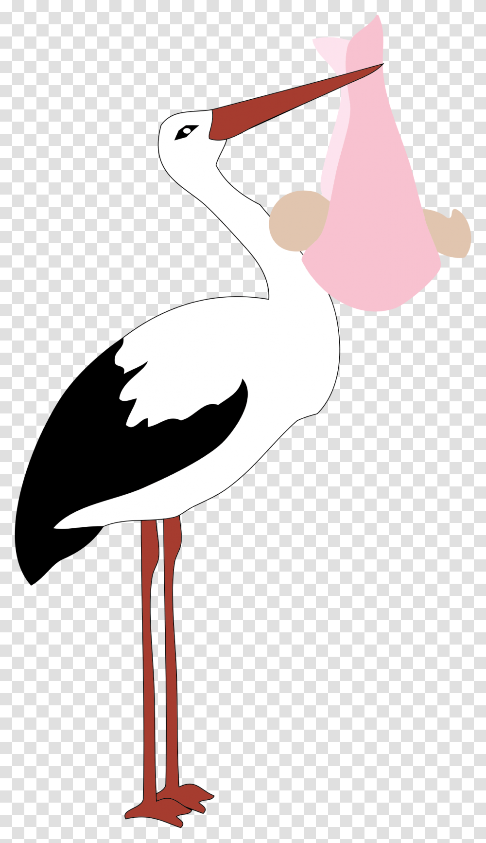 Clipart, Bird, Animal, Crane Bird, Stork Transparent Png