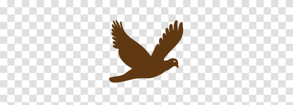 Clipart, Bird, Animal, Eagle, Person Transparent Png