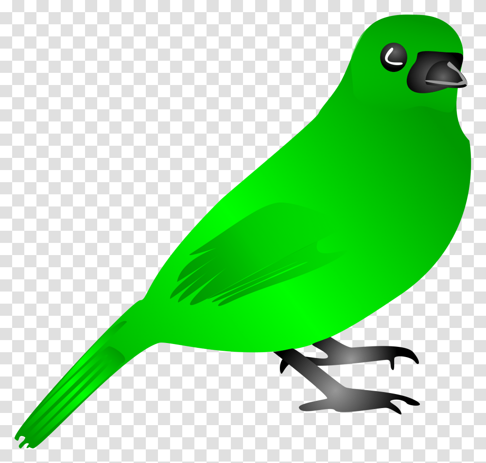 Clipart, Bird, Animal, Finch, Canary Transparent Png