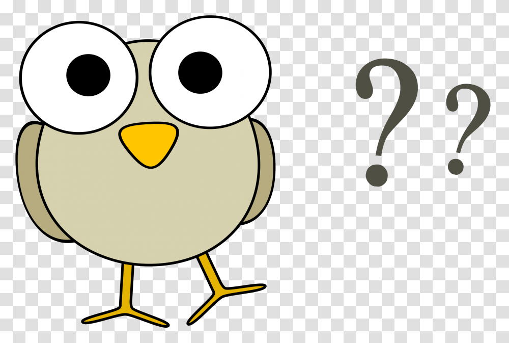 Clipart, Bird, Animal, Fowl, Angry Birds Transparent Png