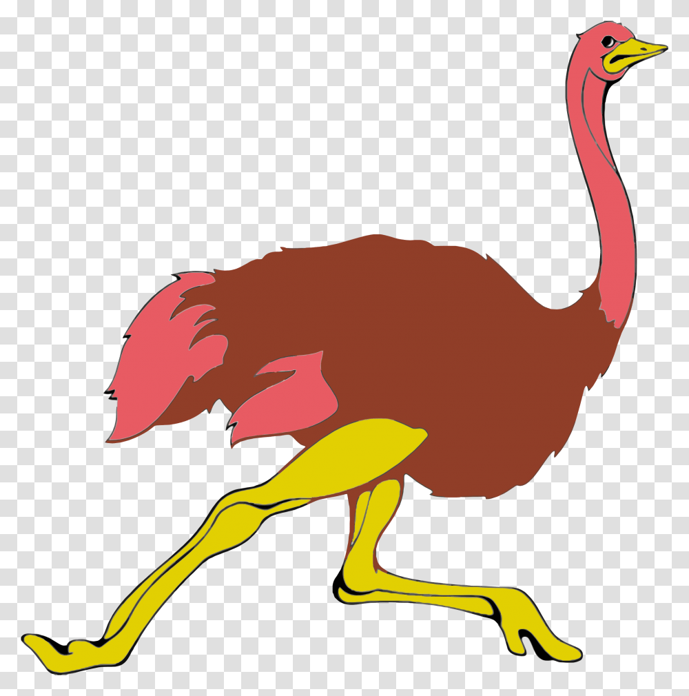Clipart, Bird, Animal, Ostrich, Beak Transparent Png