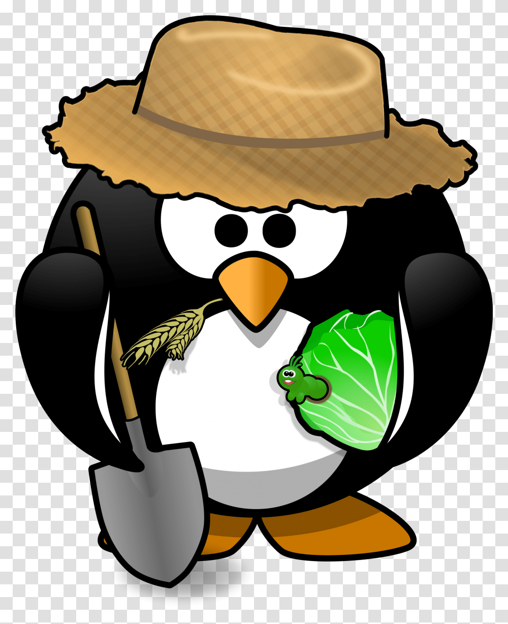 Clipart, Bird, Animal, Penguin Transparent Png