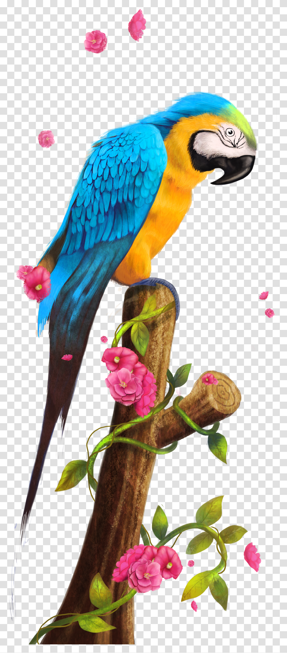 Clipart Bird Parrot Free Parakeet Transparent Png