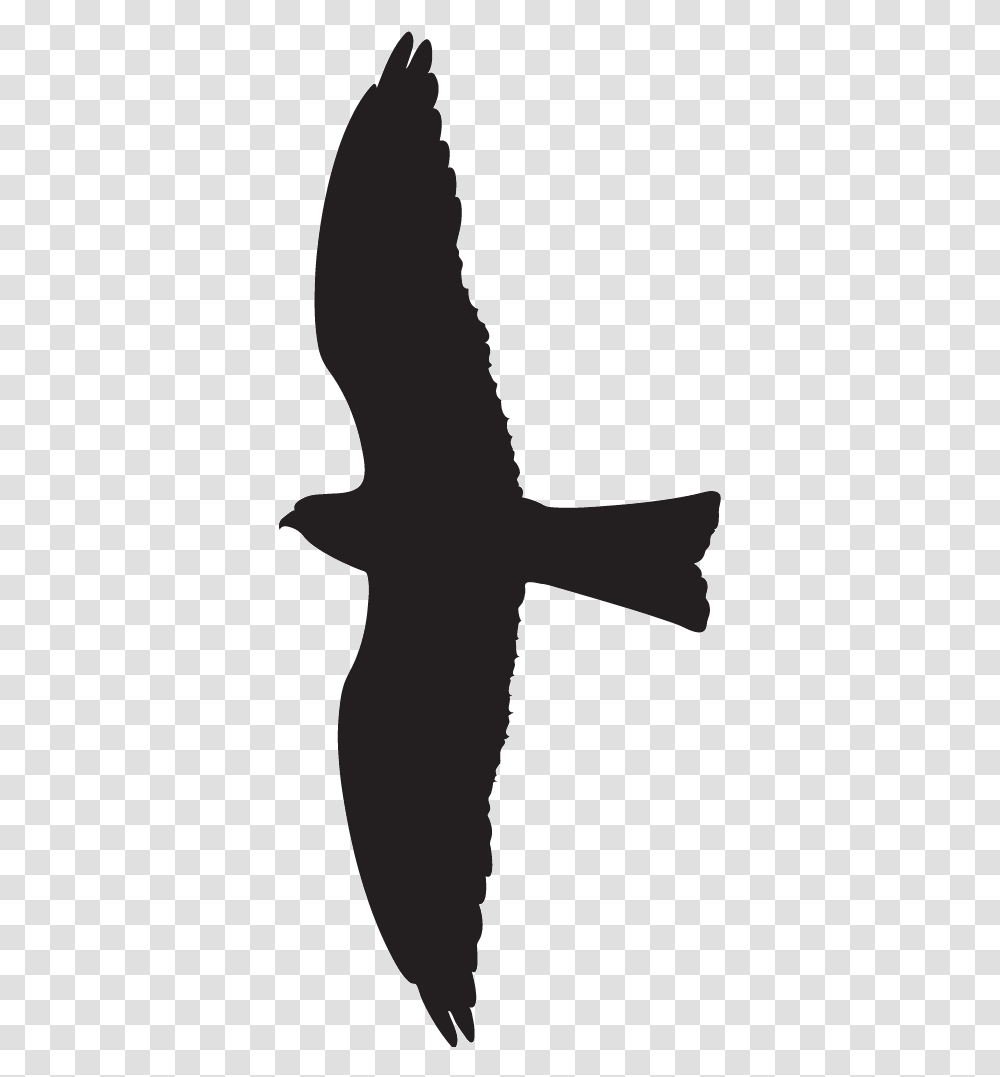 Clipart Bird Red Kite Black Kite Bird Silhouette, Symbol, Cross, Crucifix, Person Transparent Png
