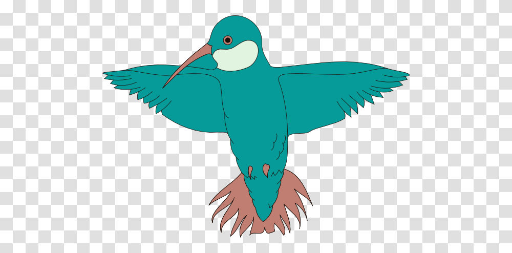 Clipart Bird Wings, Animal, Beak, Kiwi Bird, Hummingbird Transparent Png