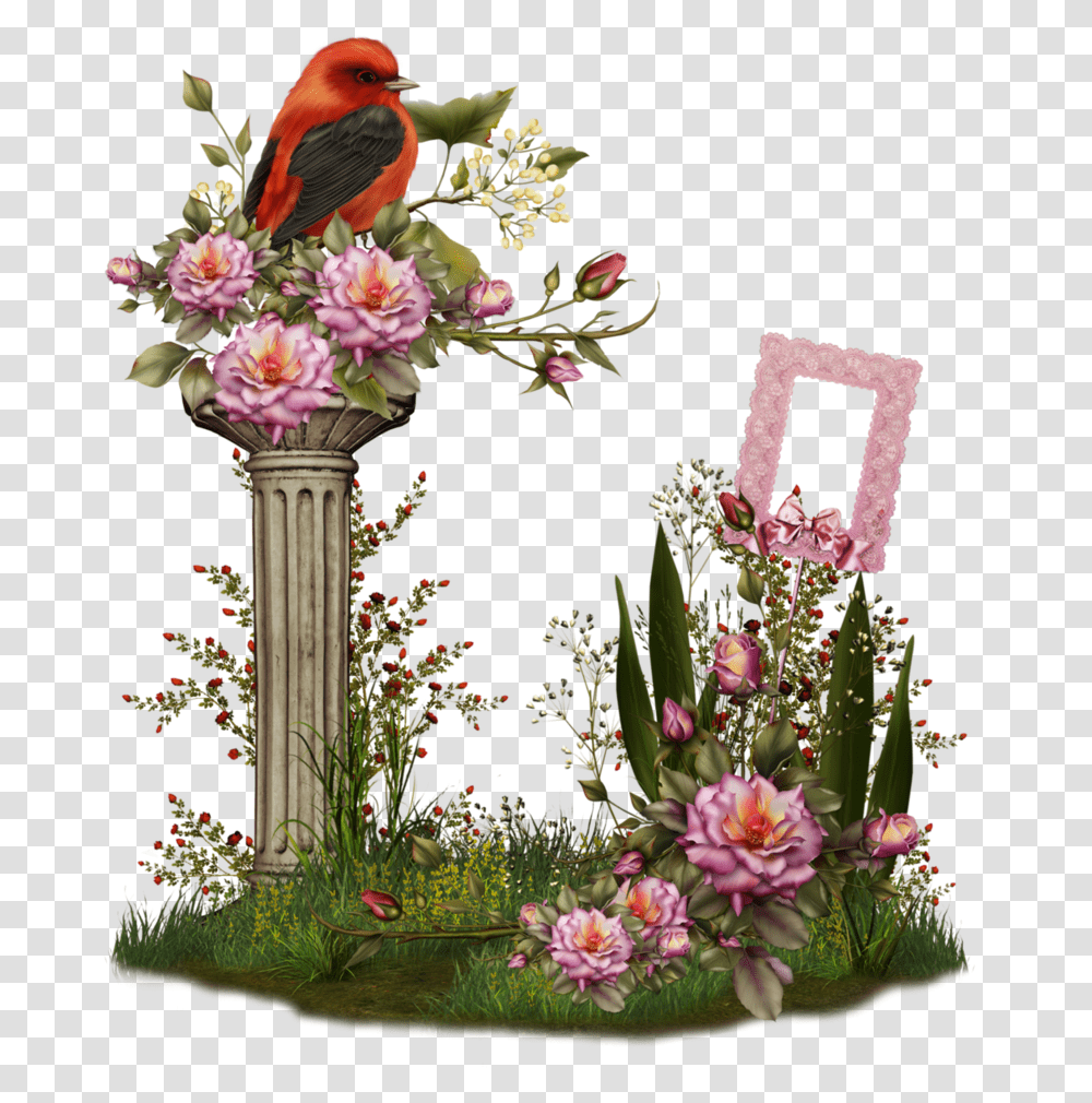 Clipart Birds And Flowers Border Frame, Animal, Plant, Flower Arrangement, Floral Design Transparent Png