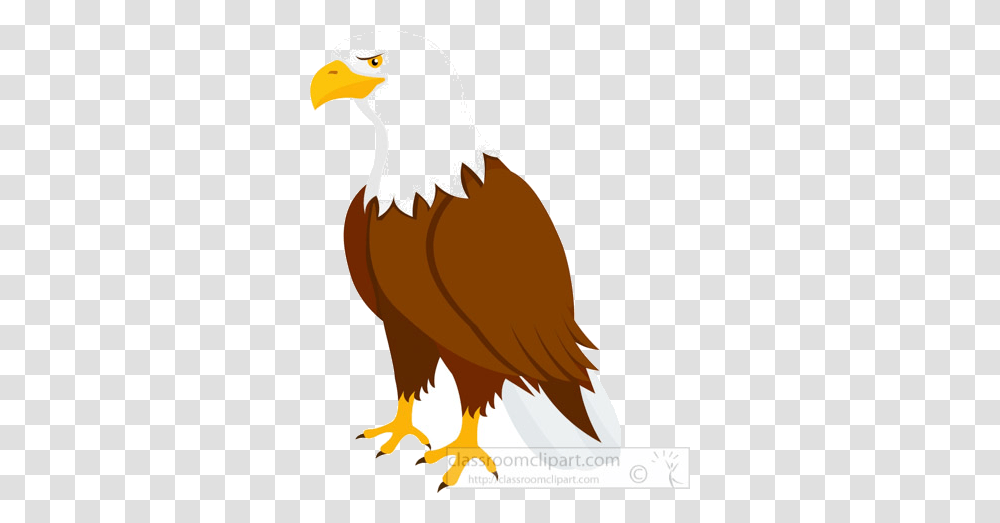 Clipart Birds Eagle Free Bald Eagle Clipart, Animal, Vulture, Fowl, Poultry Transparent Png