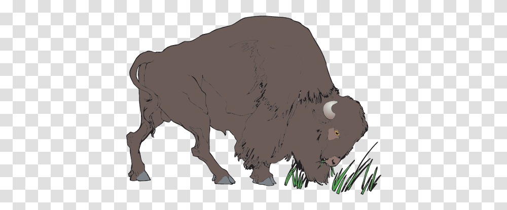 Clipart Bison Image With No Animation Buffalo Gif, Wildlife, Mammal, Animal, Person Transparent Png