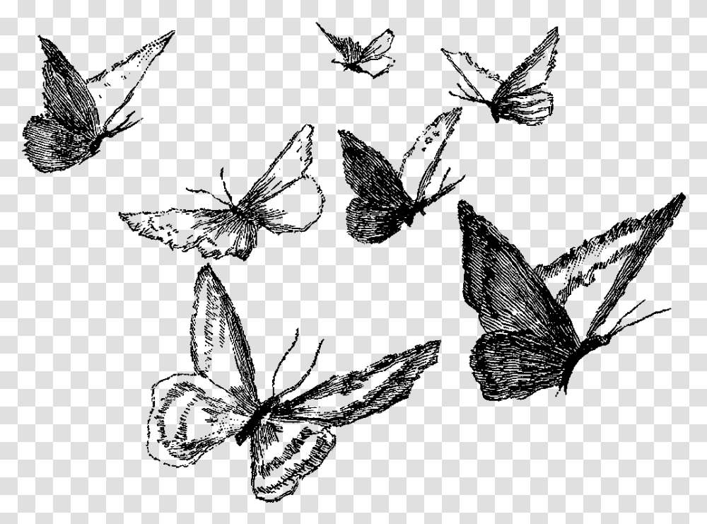 Clipart Black And White Ankle Drawing Pencil Butterfly Pencil Drawing, Nature, Outdoors, Outer Space, Astronomy Transparent Png