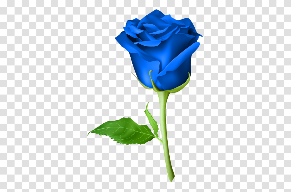 Clipart Blue Roses Blue And Rose, Flower, Plant, Blossom, Petal Transparent Png