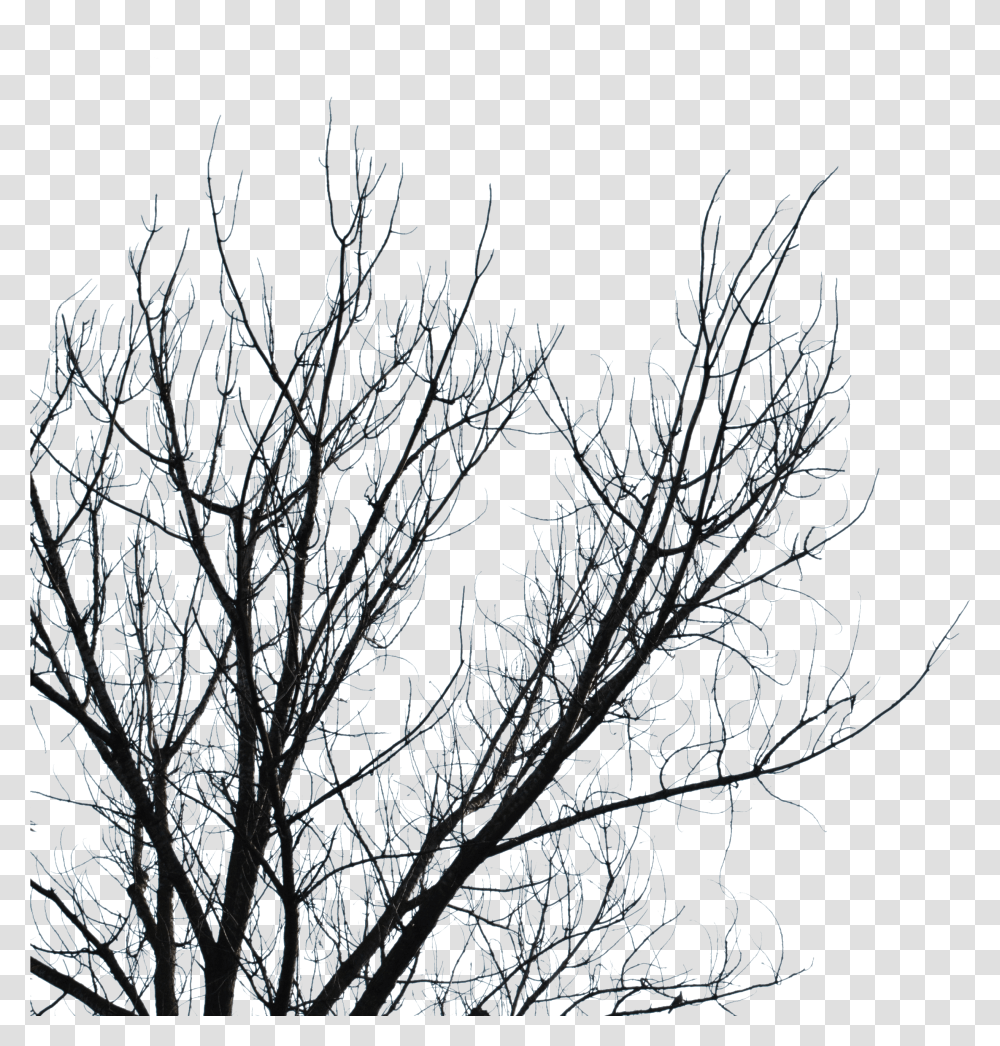 Clipart Branch Tree Sky Leaf Dead Tree Branch, Nature, Outdoors, Ice, Snow Transparent Png