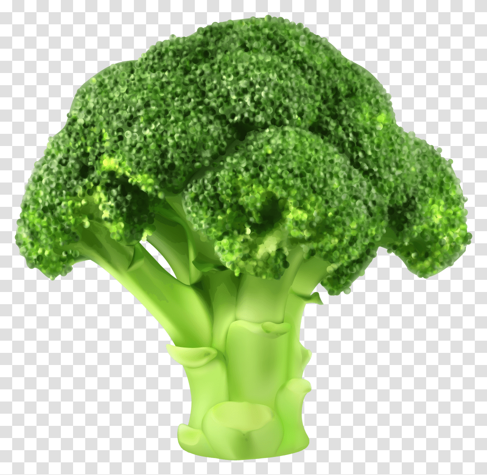 Clipart Broccoli Transparent Png