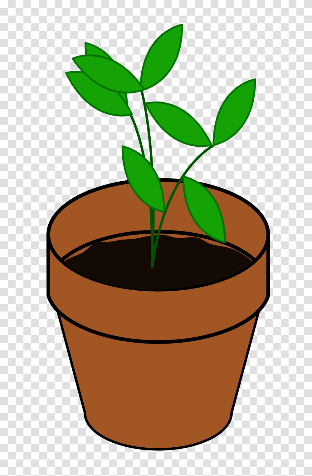 Clipart, Bucket, Leaf, Plant, Pot Transparent Png