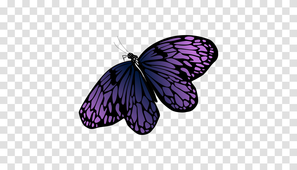 Clipart Butterfly Design Pictures, Lamp, Insect, Invertebrate, Animal Transparent Png