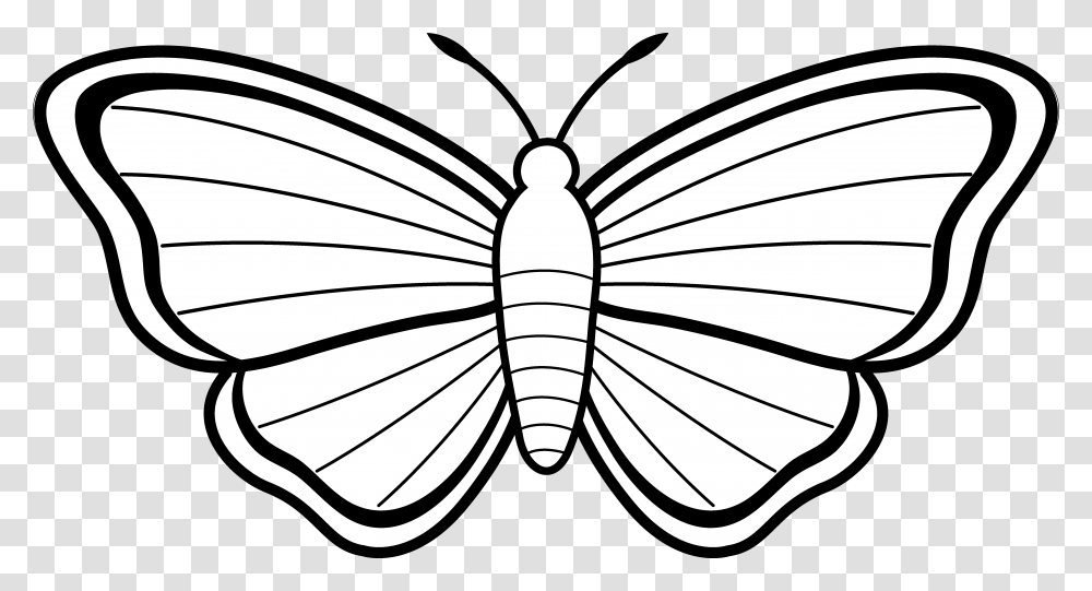 Clipart Butterfly Outline, Invertebrate, Animal, Insect, Cockroach Transparent Png