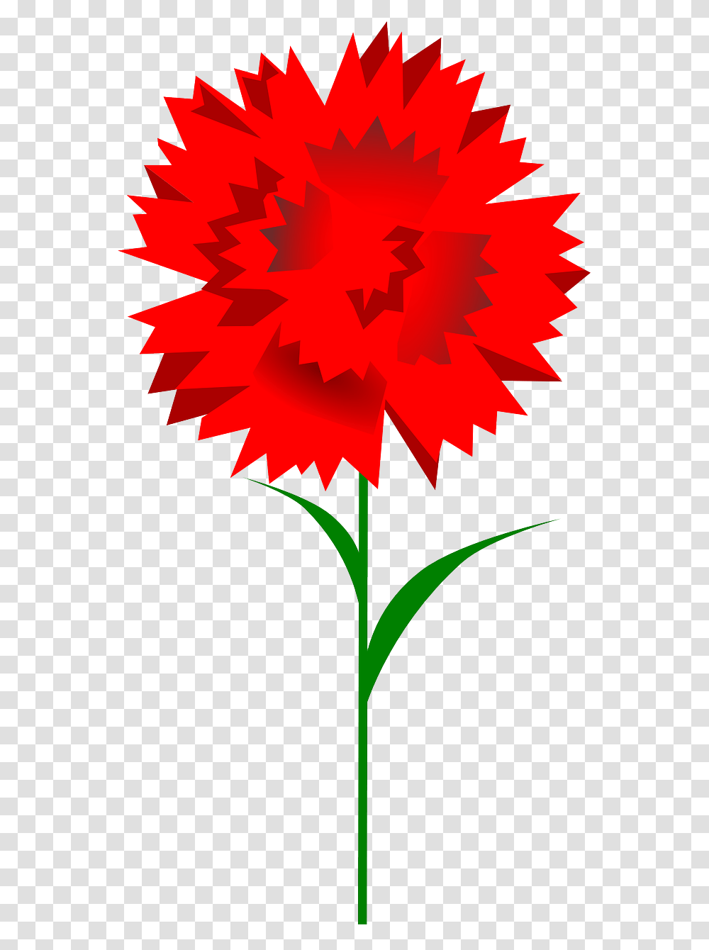 Clipart Carnation, Leaf, Plant, Flower, Blossom Transparent Png