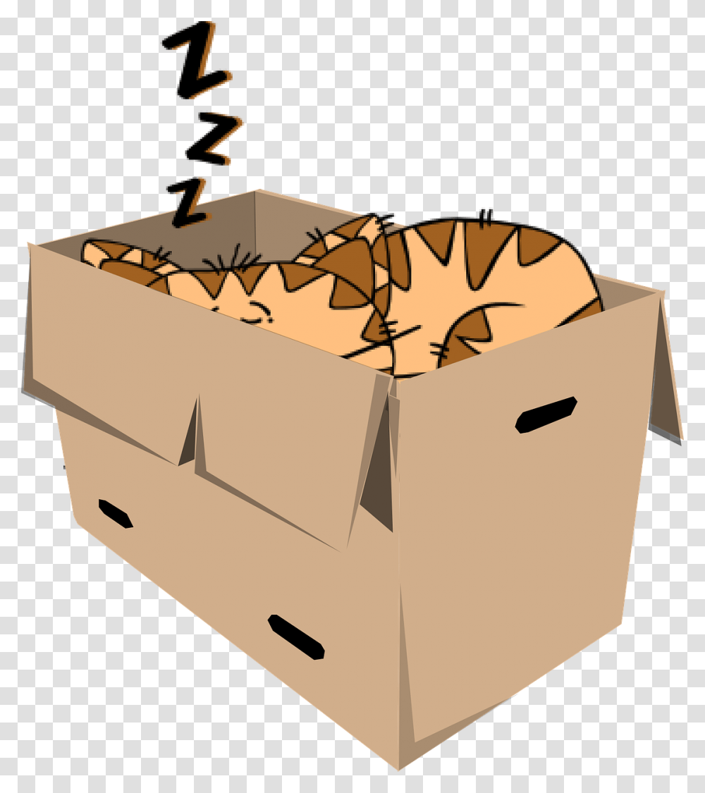 Clipart Cat Sleeping, Box, Cardboard, Carton, Treasure Transparent Png